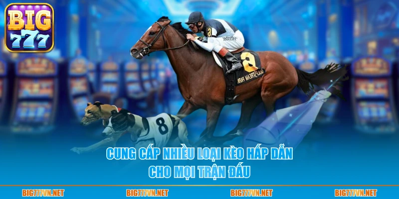 Cung cấp nhiều loại kèo hấp dẫn cho mọi trận đấu
