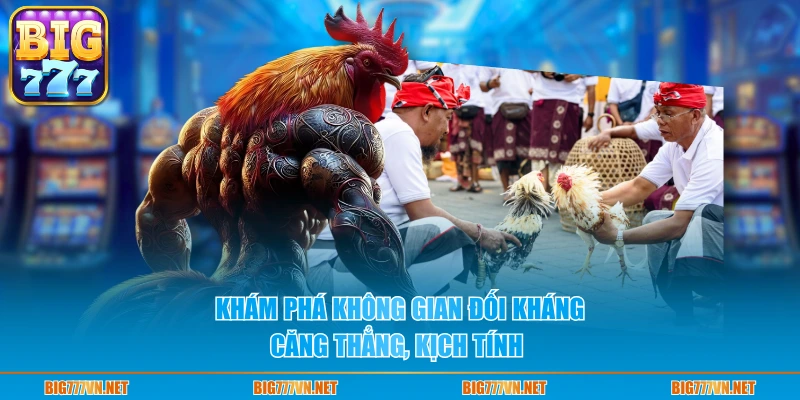 Khám phá không gian đối kháng căng thẳng, kịch tính 