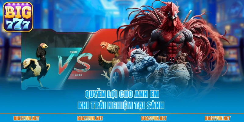 Quyền lợi cho anh em khi trải nghiệm tại sảnh 