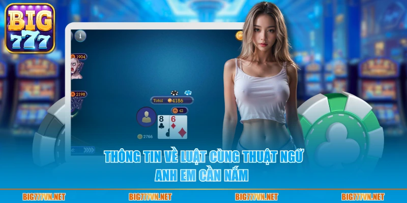 Thông tin về luật cùng thuật ngữ anh em cần nắm